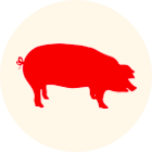 pork