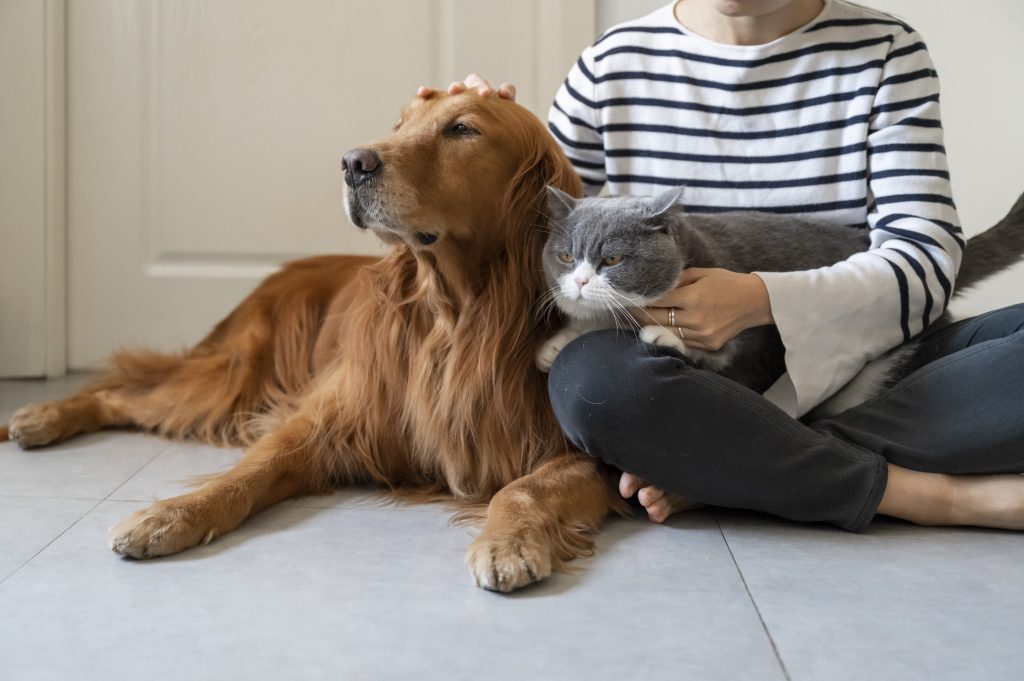 A dog and a cat snuggling with their owner.