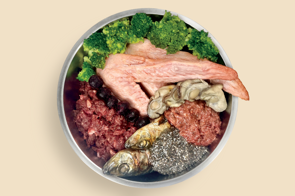 Aerial shot of a raw dog food meal in dog bowl.